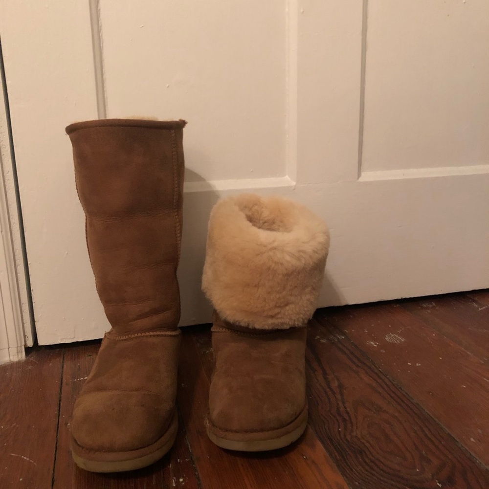 chestnut tall uggs size 8